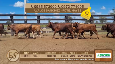 Lote Lote 9