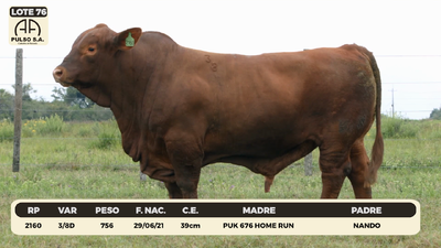 Lote LOTE 76