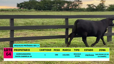 Lote LOTE 64 - 1 VAQUILLA PREÑADA CBO 0