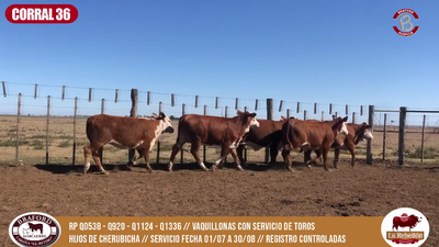 Lote CORRAL 36