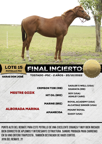 Lote FINAL INCIERTO