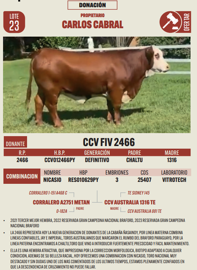 Lote LOTE 23