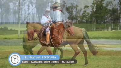 Lote El Gavilán Bicicleta