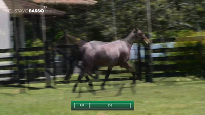 Lote Macho de Andar, Cerro Largo