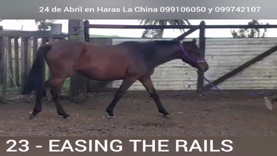 Lote EASING THE RAILS