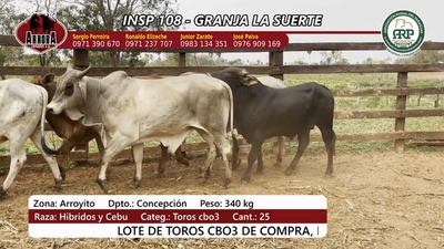 Lote Insp 108