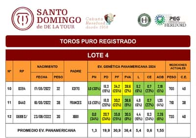 Lote TOROS PR (LOTES) - ( Incluye S/ )