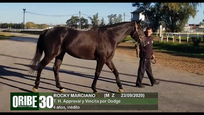 Lote Lote 30