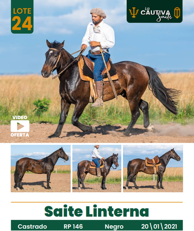 Lote LOTE 24