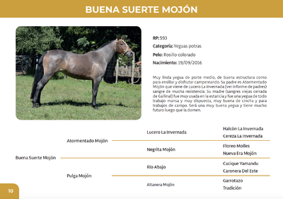Lote Buena Suerte Mojón (RP 593)