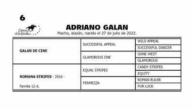 Lote ADRIANO GALAN (GALAN DE CINE -  ROMANA STRIPES por  EQUAL STRIPES)