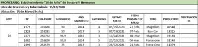 Lote Lote 24