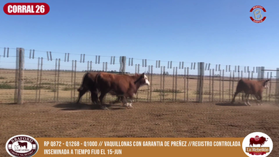 Lote CORRAL 26