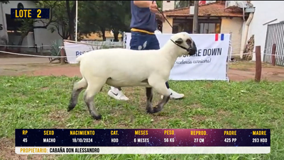 Lote LOTE 2