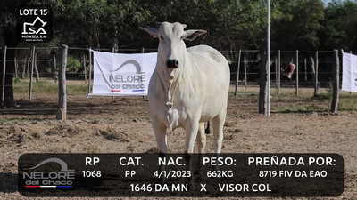 Lote LOTE 15
