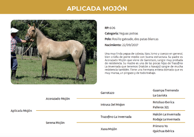 Lote Aplicada Mojón (RP 606)