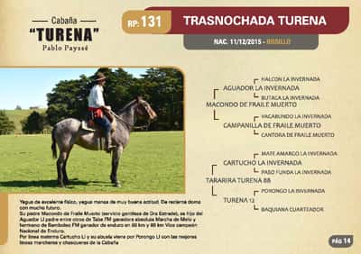Lote RP 131 - TRASNOCHADA TURENA - TURENA