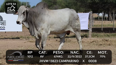 Lote LOTE 54