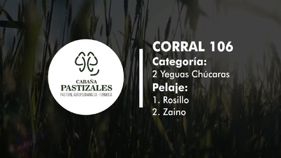 Lote YEGUA