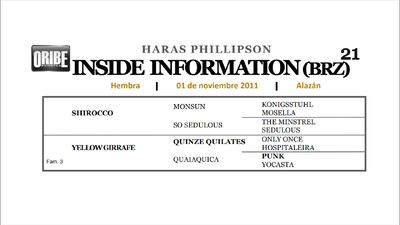 Lote INSIDE INFORMATION
