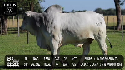 Lote LOTE 35