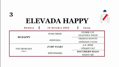 Lote ELEVADA HAPPY (HI HAPPY - ENUMERADA)
