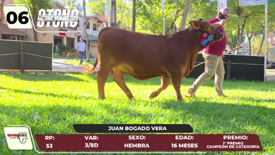 Lote LOTE 6