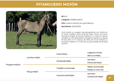 Lote Pitanguero Mojón (RP 635)