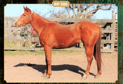 Lote LINDA POINT LORENCITA