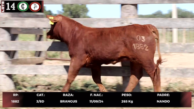 Lote LOTE 14