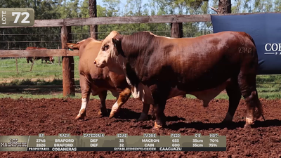 Lote LOTE 72