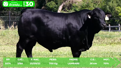 Lote LOTE 30
