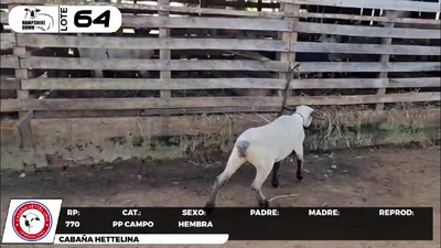 Lote LOTE 64 - CAMPO