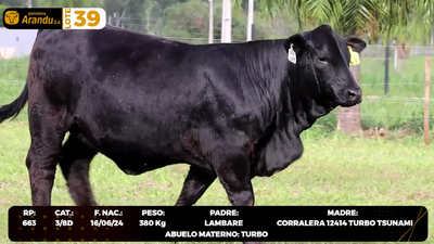 Lote LOTE 39