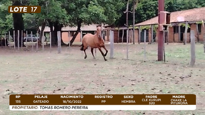 Lote LOTE 17- CAMPO