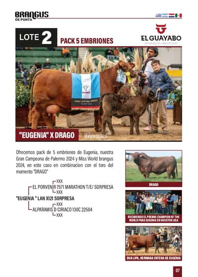 Lote "PACK 5 EMBRIONES ""EUGENIA"" x DRAGO"