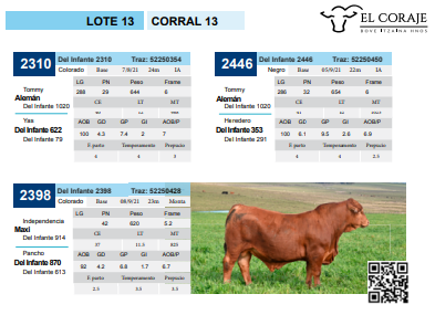 Lote Corral 13