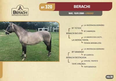 Lote RP. 320 - BERACHI - BERACHI