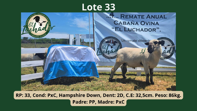 Lote PxC