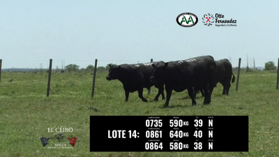 Lote 3 Toros, Artigas