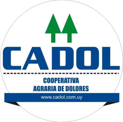 Lote TERNEROS/AS