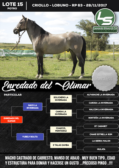 Lote ENREDADO DEL OLIMAR