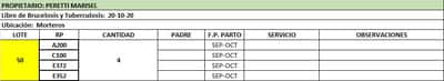 Lote Vaquillonas preñadas