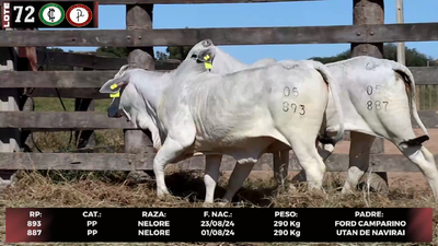 Lote LOTE 72