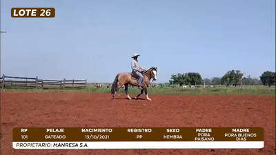 Lote LOTE 26- CAMPO