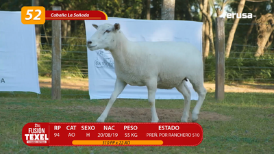 Lote LOTE 52