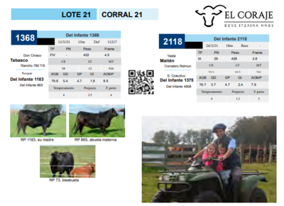 Lote CORRAL 21