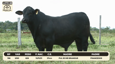Lote LOTE 69