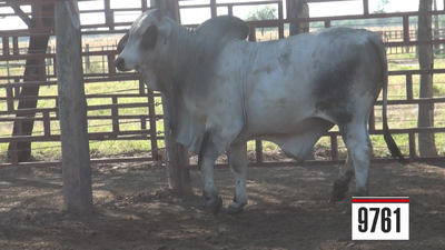 Lote Brahman