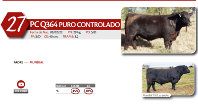 Lote MACHO PC